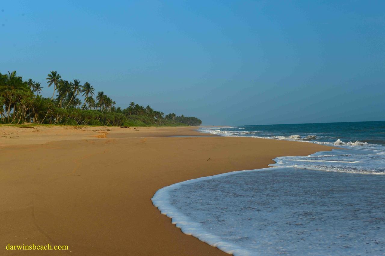 Darwins Beach Resort Tangalle Kültér fotó