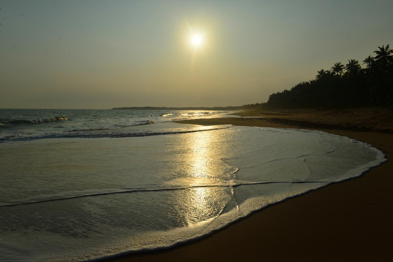 Darwins Beach Resort Tangalle Szoba fotó