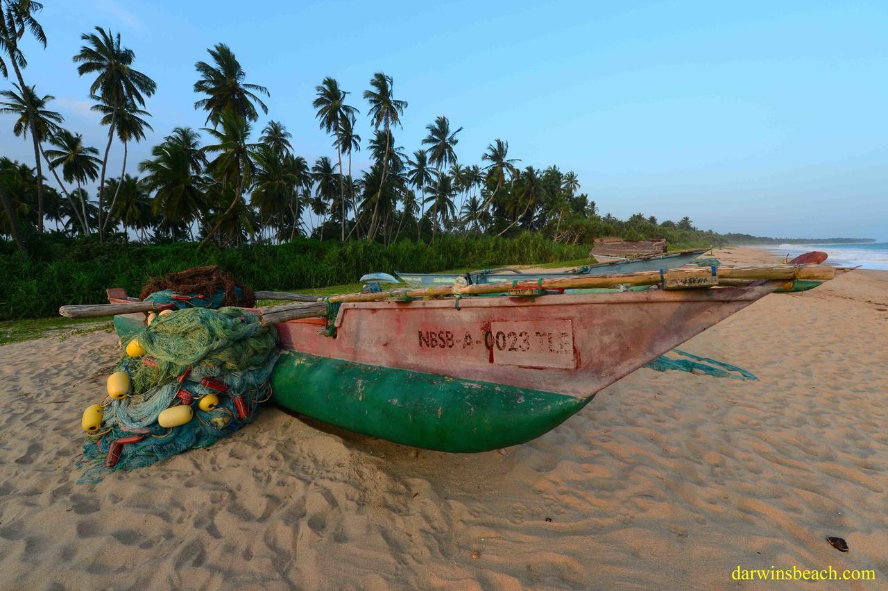 Darwins Beach Resort Tangalle Kültér fotó