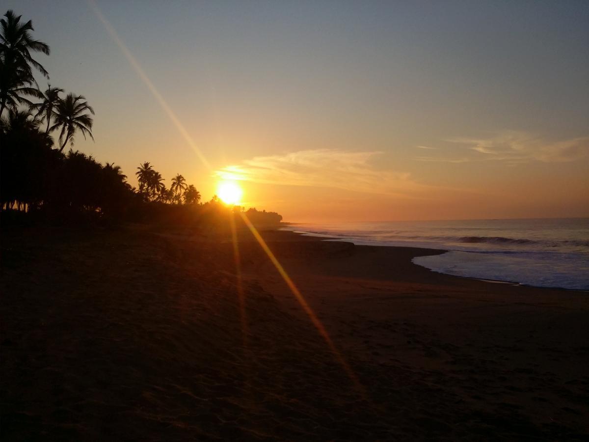 Darwins Beach Resort Tangalle Kültér fotó