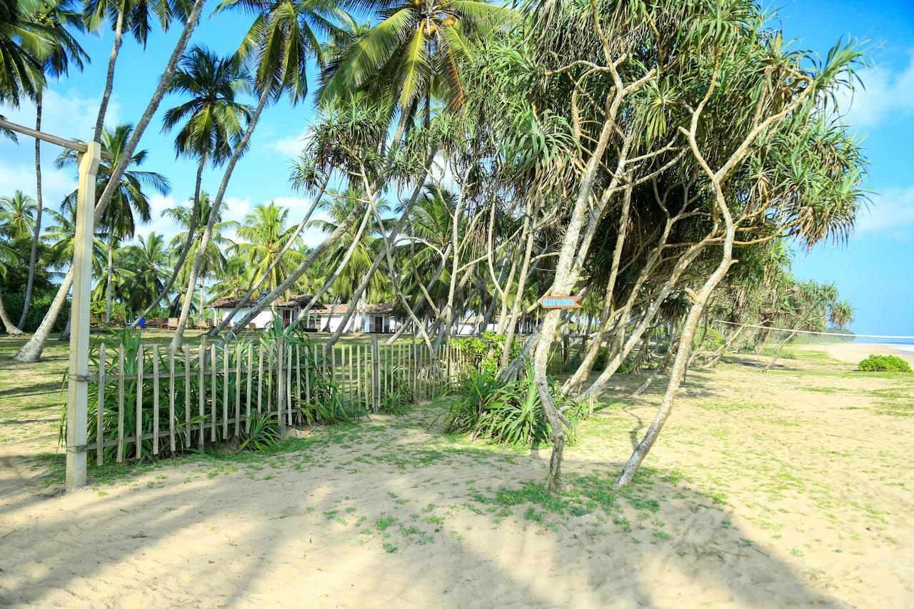 Darwins Beach Resort Tangalle Kültér fotó