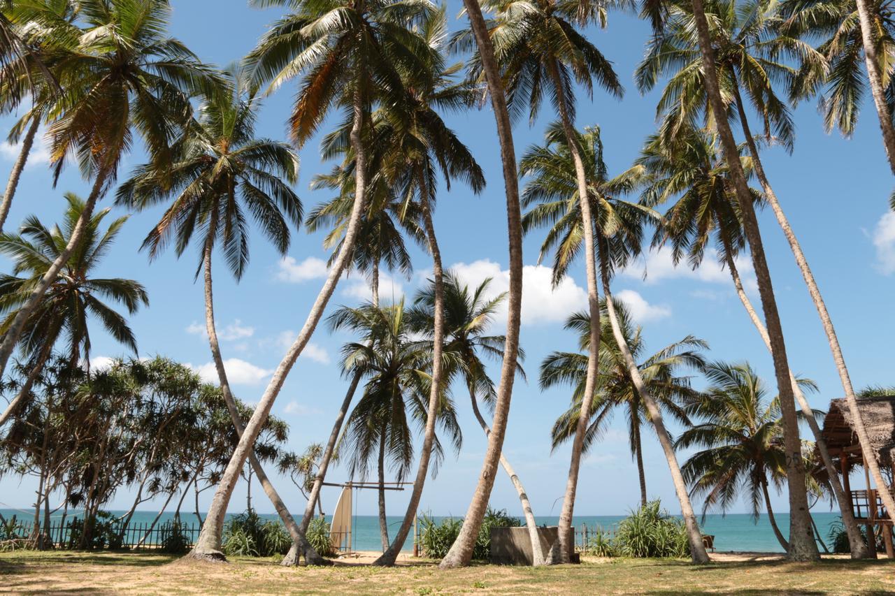 Darwins Beach Resort Tangalle Kültér fotó